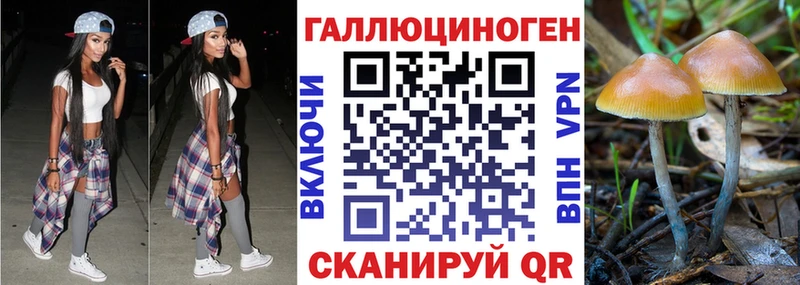 Галлюциногенные грибы MAGIC MUSHROOMS Конаково